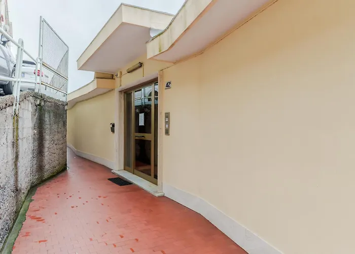 Guesthost - Discover Bright